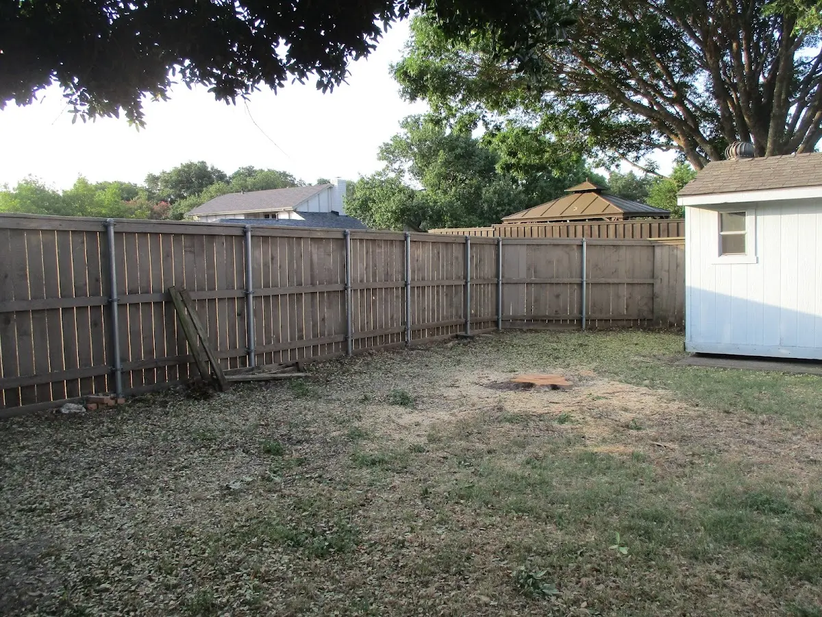 Cleared yard after professional tree removal in Clinton